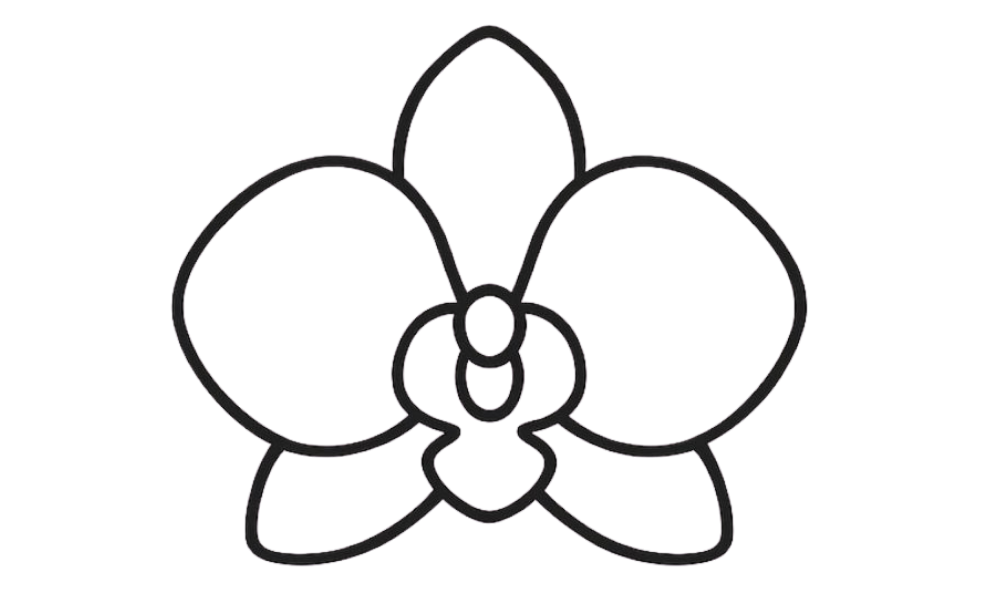 Phalaenopsis Amabilis Extract (Orchid Extract)